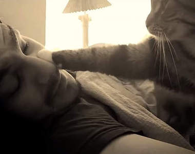 《貓咪鬧鐘》欸欸欸人類趕快起床啦～（肉球巴臉）