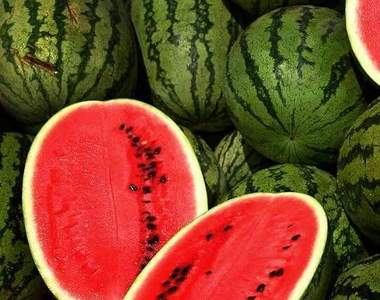 《西瓜新切法》切個西瓜而已，需要這麼辛苦嗎？！