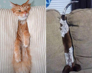 慘！卡住了，等我先笑完再來救你（壞）