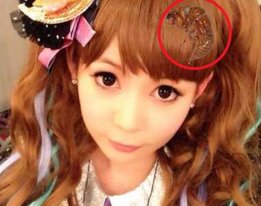 中川翔子的蟬殼頭　蛋白質滿點的2014年夏日新髮型