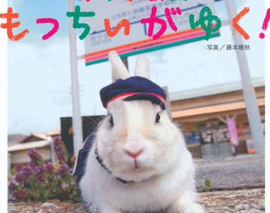 日本超可愛《白兔站長》拯救廢線危機的奇蹟物語