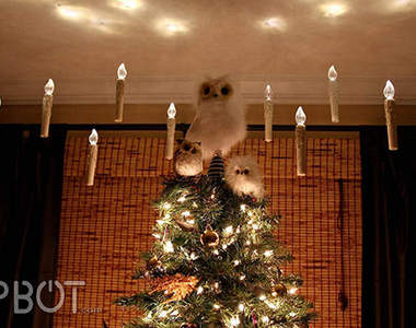 《哈利波特聖誕樹》充滿魔法風格聖誕樹這樣裝飾