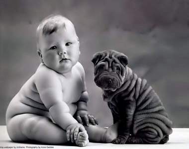 什麼人養什麼寵物　飼主性格大解析