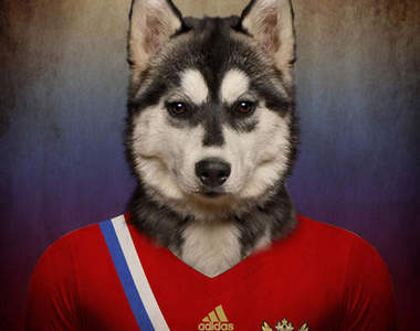 《汪汪穿球衣》怎麼有股莫名的萌感XDD