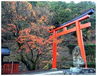 京都結緣神社《貴船神社》下雪和燈景顯得超夢幻