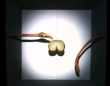 屁股投影貼圖　把喀噌變成帥氣的螢光幕主角吧