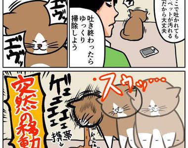 《貓的日常生活網漫》真實重現貓奴們水深火熱的生活www