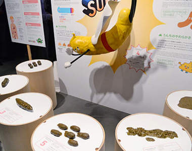 《超現代便便展》體驗身為便便的感受 共創便便與人類的未來？