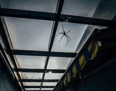 荒廢小欖醫院　晚上帶著DV不就變成絕命精神病院了嘛！？