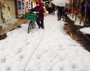 在東京看流冰?這六月雪是有什麼冤情呀...