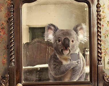 如果《動物也會自拍》看起來真的好奇妙(☉A⊙)