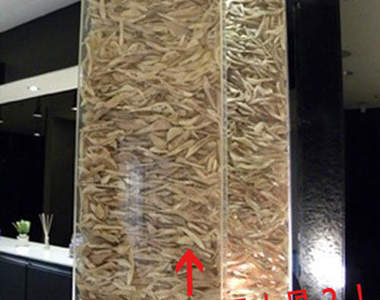 整形診所裡的《人骨柱》怎麼感覺有點陰森......