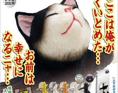 《貓的手機撐》第二彈援軍新毛色到來 這裡就交給我了喵...