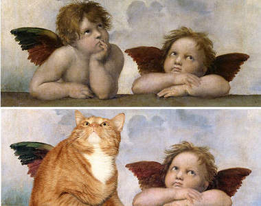 《肥貓入畫》帶來的新鮮感　你喜歡嗎？