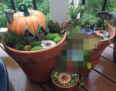 《破花盆別丟！》DIY動手改造成超漂亮小花園♥