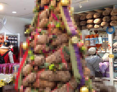 衝擊《大山椒魚聖誕樹》怎麼好像有點萌萌的......(//▽//) 