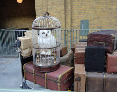 HP哈利波特主題樂園《斜角巷》魔法商店大觀