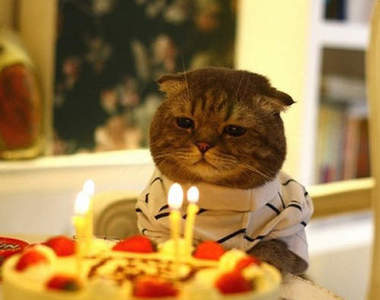 《超溫馨出院通知書》醫院為什麼希望它明年再來住院？