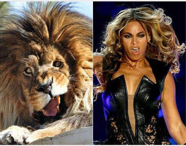 《名人似貓顏》不曉得他們是不是也是貓性格？