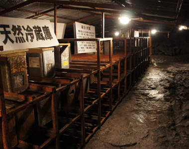 《富士山樹海》夏季旅遊平均氣溫只剩3度～好清涼～