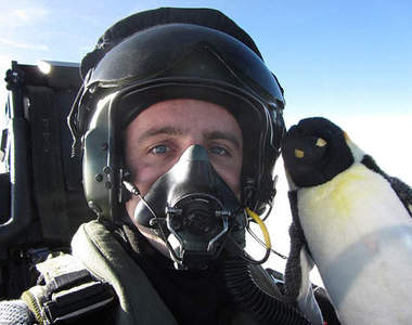 《帶企鵝出任務》我們都需要簡單的治癒