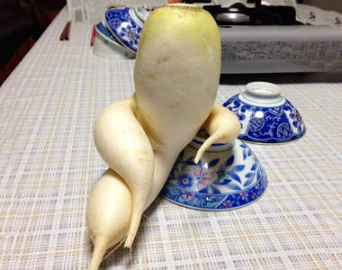 《異型蔬果》你們也長得太特別了吧