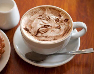 素描貓咪《咖啡拉花》這畫完整杯都冷掉了吧Σ( ° △ °)