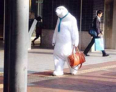 《大都會岡山》珍事件續出 岡山縣民表示好困惑www