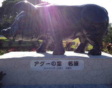 沖繩豬雕像的蛋蛋　因太過露出而造成當地女性的困擾
