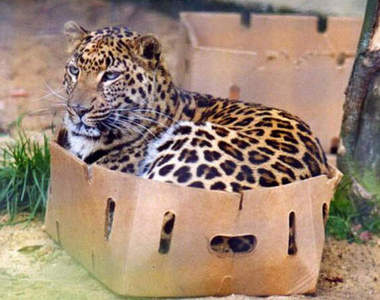 輕易《惹火另一半的方法TOP10》這樣做準沒錯（奸笑）