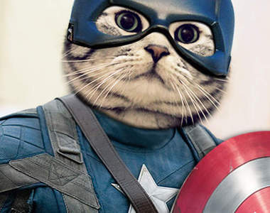 《豬貓可樂》照片加上插畫更可愛♥