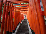 東京《千鳥居神社》一樣好有吸引力 東京《千鳥居神社》一樣好有吸引力