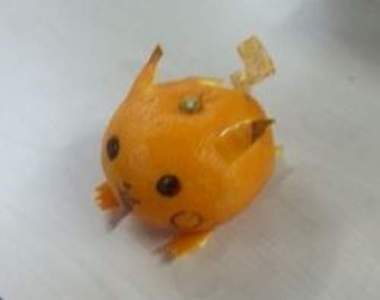 韓《橘子皮藝術》趴兔 警察杯杯這裡有人玩食物啦