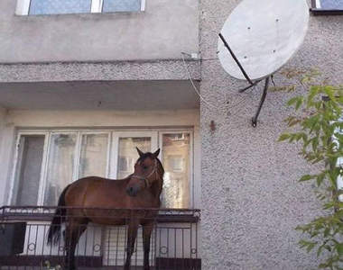 《俄羅斯消防員》能應付戰鬥民族需求的強中強者www