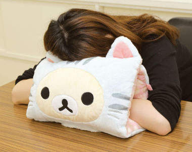 《貓的懶懶熊》無敵治癒貓懶熊系列登場～