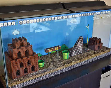 《瑪利歐魚缸》魚放進去都跳出來怎麼辦？（誤）