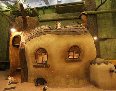 不可思議的《貓咪森林》宛如繪本世界般的貓咖啡廳