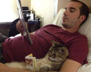 養貓之後的變化　貓奴們乖乖躺好中槍吧（´･ω･`)