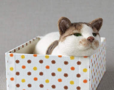 超神《羊毛氈貓咪》每一隻神韻都抓得好棒 ♥