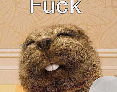 電影：狸老屍卡好　10月24號週五晚場要你屍答答