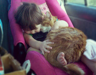 《溫暖貼心的貓咪》傲嬌貓也不全是小壞蛋