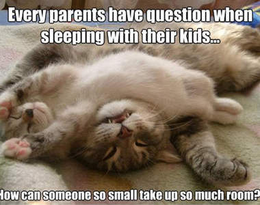 《知道父母很難當的動物們》爸、媽～真是辛苦你們了ε-(-∀-；)