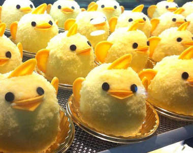 敲可愛《小雞布丁》開動之後的畫面就只剩殘忍惹......