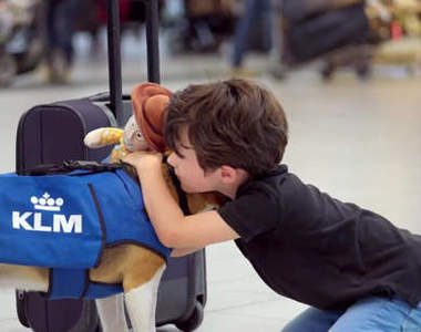 荷蘭《機場神犬》看完你可能會故意遺失物品(笑)