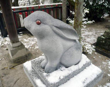 超萌的《兔子神社》充滿兔寶寶的可愛岡崎神社