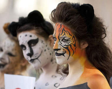 超有趣《動物彩繪面膜》敷臉再也不會嚇到人