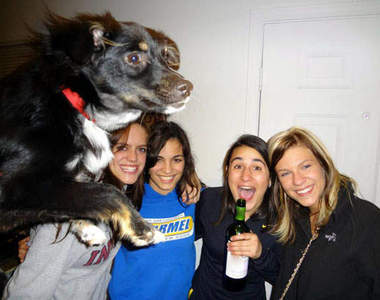 時機正好《亂入狗狗》我比較上照拍我拍我