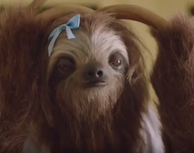 詭異《樹懶防嗑藥廣告》這是對樹懶的汙衊啊～