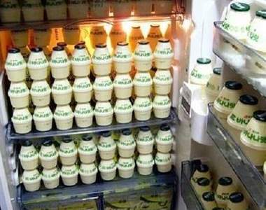 出沒各大家庭的《滿載冰箱》在為世界末日做準備嗎？