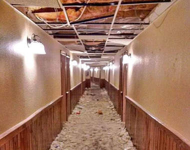 清潔工也抓狂《超髒亂飯店房間》如果是你家你還會這麼做嗎？